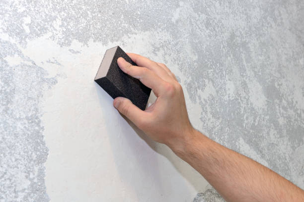 Best Comprehensive Air Testing for Mold Contaminants  in New Knoxville, OH