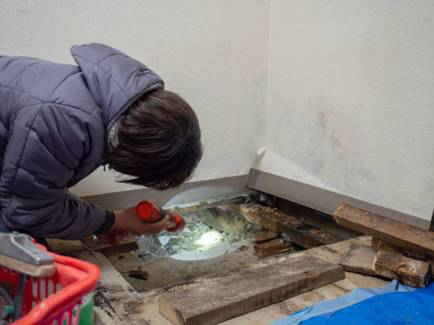 Best Post-Remediation Verification Testing  in New Knoxville, OH