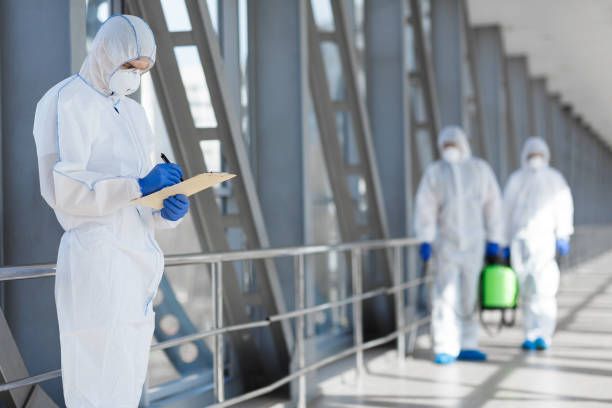 Professional Mold Removal in New Knoxville, OH
