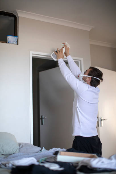 Best Air Quality Testing for Mold Spores  in New Knoxville, OH