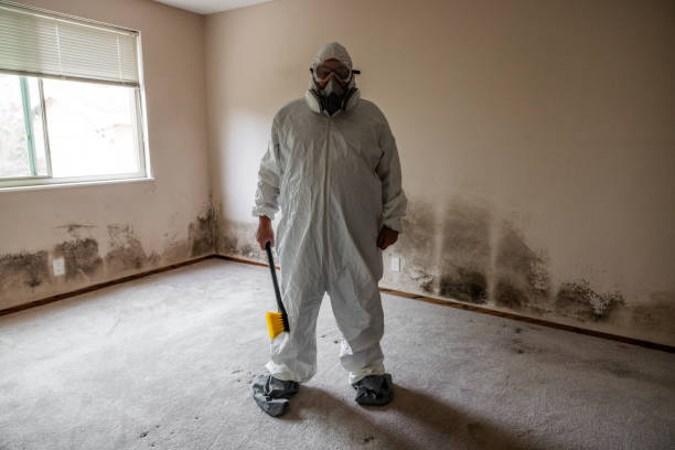 Mold Documentation for Insurance Claims in New Knoxville, OH